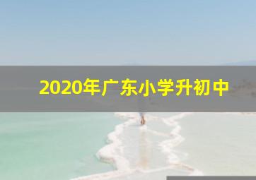 2020年广东小学升初中