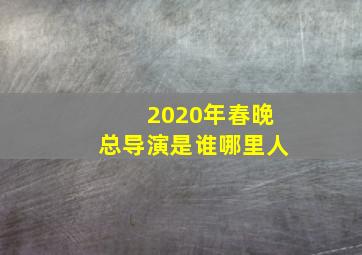 2020年春晚总导演是谁哪里人