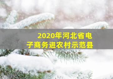 2020年河北省电子商务进农村示范县