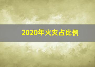 2020年火灾占比例