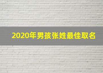 2020年男孩张姓最佳取名