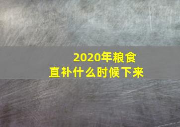 2020年粮食直补什么时候下来