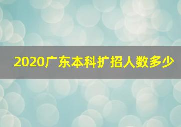 2020广东本科扩招人数多少