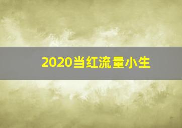 2020当红流量小生