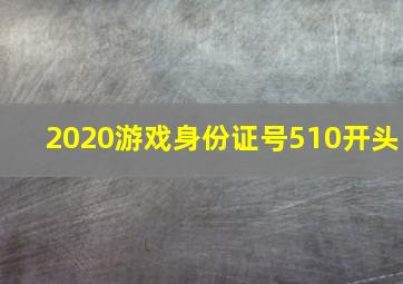 2020游戏身份证号510开头