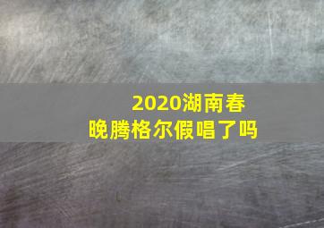 2020湖南春晚腾格尔假唱了吗