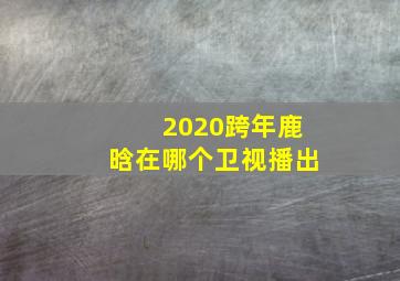 2020跨年鹿晗在哪个卫视播出