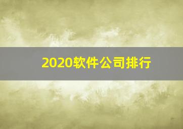 2020软件公司排行