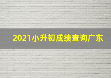 2021小升初成绩查询广东