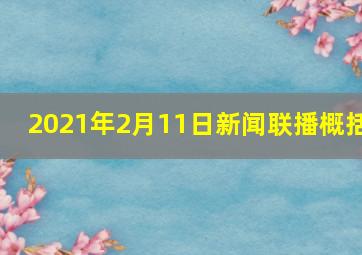 2021年2月11日新闻联播概括