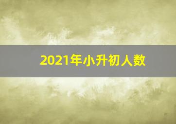 2021年小升初人数