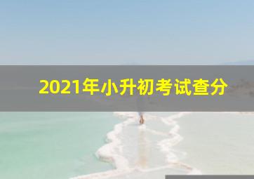 2021年小升初考试查分