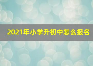 2021年小学升初中怎么报名