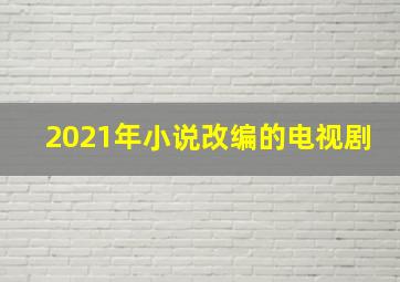 2021年小说改编的电视剧