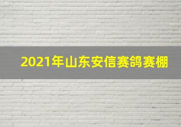 2021年山东安信赛鸽赛棚