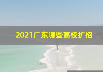 2021广东哪些高校扩招