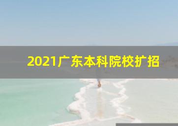 2021广东本科院校扩招