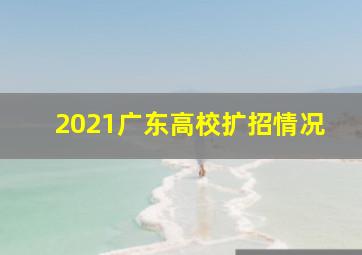 2021广东高校扩招情况