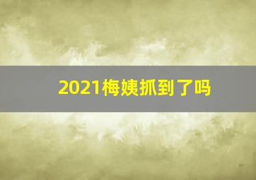 2021梅姨抓到了吗