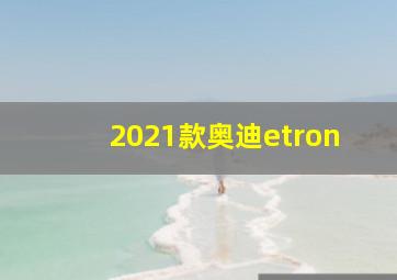 2021款奥迪etron