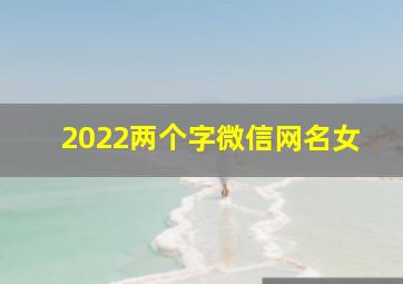 2022两个字微信网名女