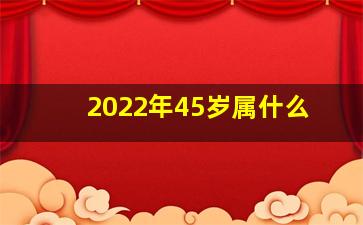 2022年45岁属什么