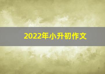 2022年小升初作文