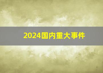 2024国内重大事件