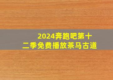 2024奔跑吧第十二季免费播放茶马古道