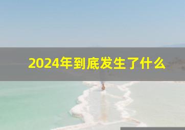 2024年到底发生了什么