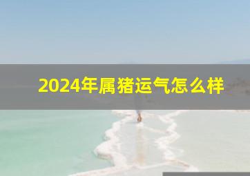 2024年属猪运气怎么样