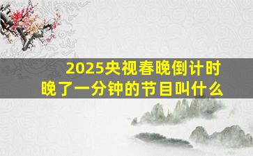 2025央视春晚倒计时晚了一分钟的节目叫什么