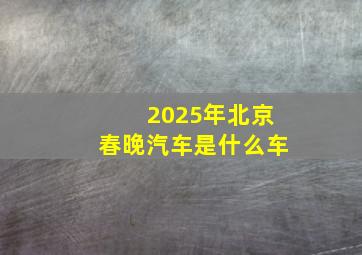 2025年北京春晚汽车是什么车