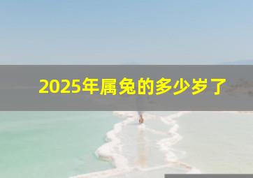 2025年属兔的多少岁了