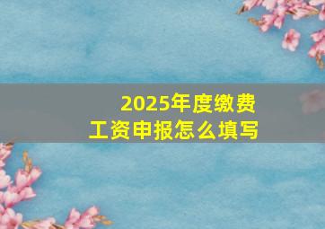 2025年度缴费工资申报怎么填写