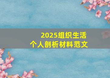 2025组织生活个人剖析材料范文