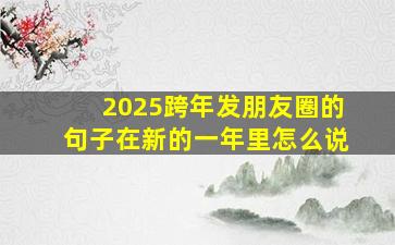 2025跨年发朋友圈的句子在新的一年里怎么说