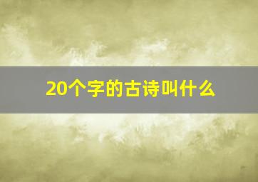 20个字的古诗叫什么