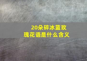 20朵碎冰蓝玫瑰花语是什么含义