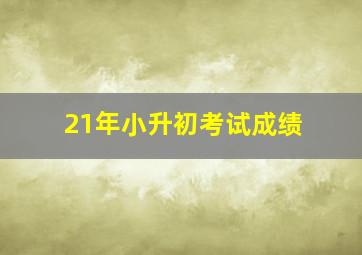 21年小升初考试成绩