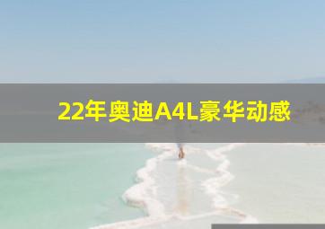 22年奥迪A4L豪华动感