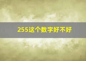 255这个数字好不好