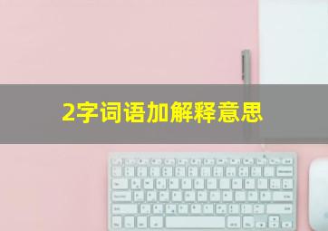 2字词语加解释意思