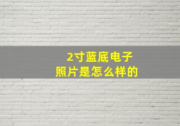 2寸蓝底电子照片是怎么样的