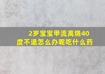 2岁宝宝甲流高烧40度不退怎么办呢吃什么药