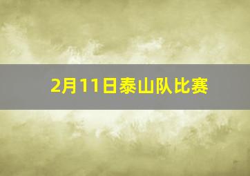 2月11日泰山队比赛