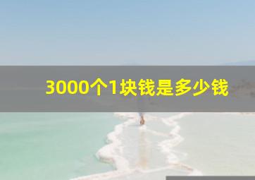 3000个1块钱是多少钱