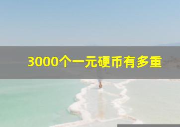 3000个一元硬币有多重