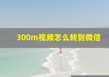 300m视频怎么转到微信