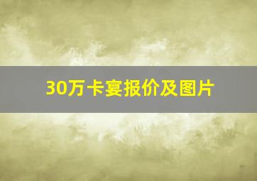 30万卡宴报价及图片